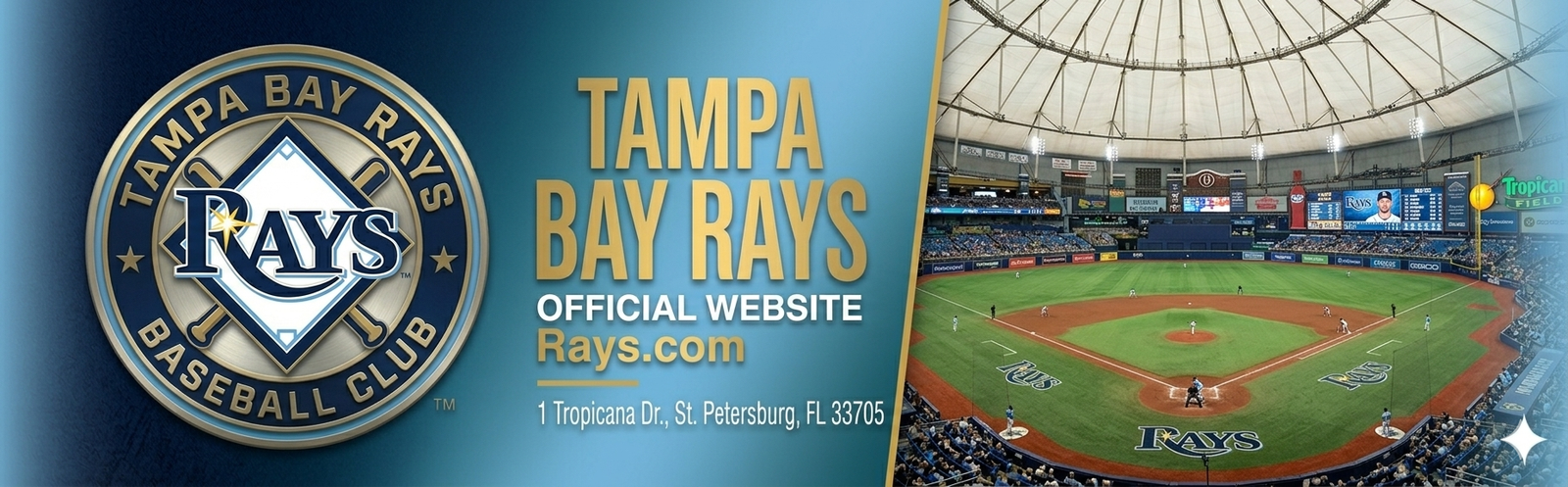 Tampa Bay Rays ballpark header